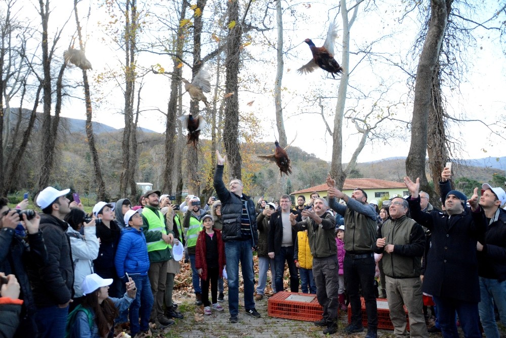 Karacabey Longozda Anlamlı Çöp Toplama Etkinliği