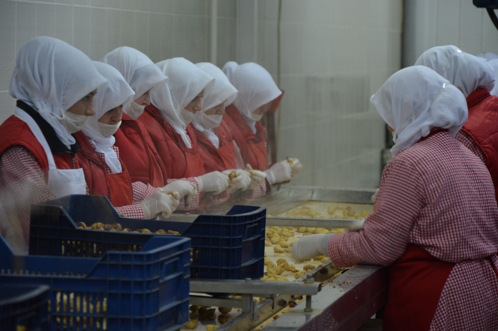 Kestane Fiyatları Uçuşa Geçti, Şeker Üreticileri Bu Yıl Para Kazanmayacak