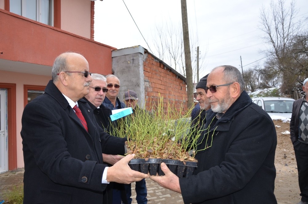 Kırsal Yaban Mersini İle Kalkınıyor