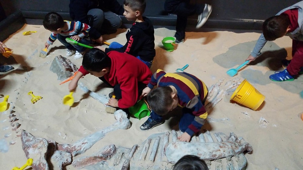 Miniklerin Dinozor Merakı