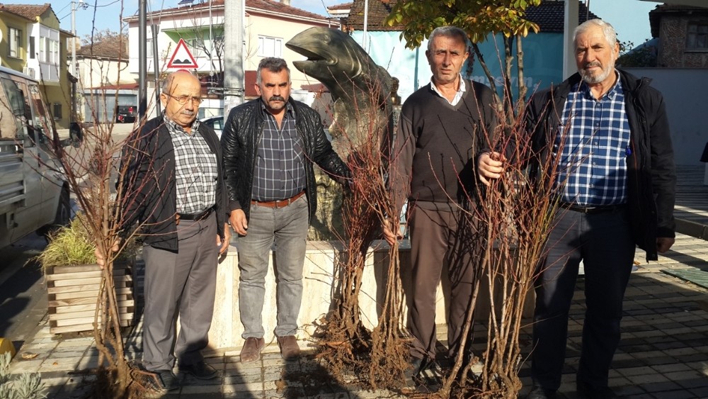 Nilüfer Belediyesinden Çiftçiye Meyve Fidanı