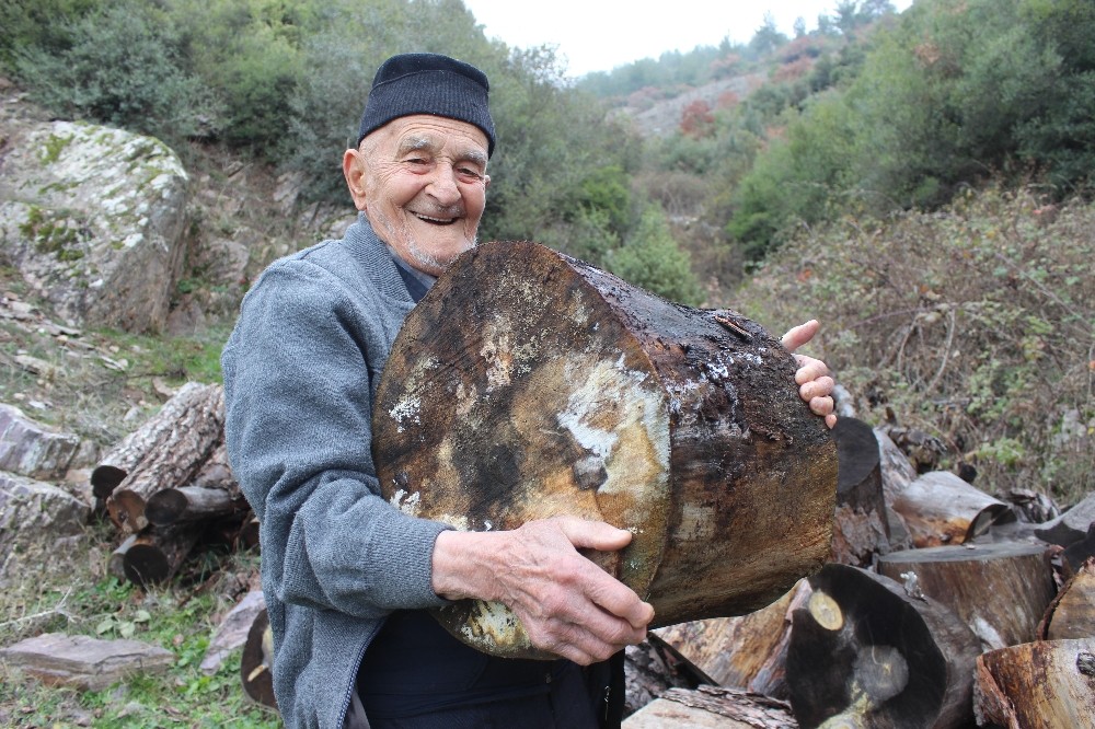 (Özel Haber) Asırlık Herkül