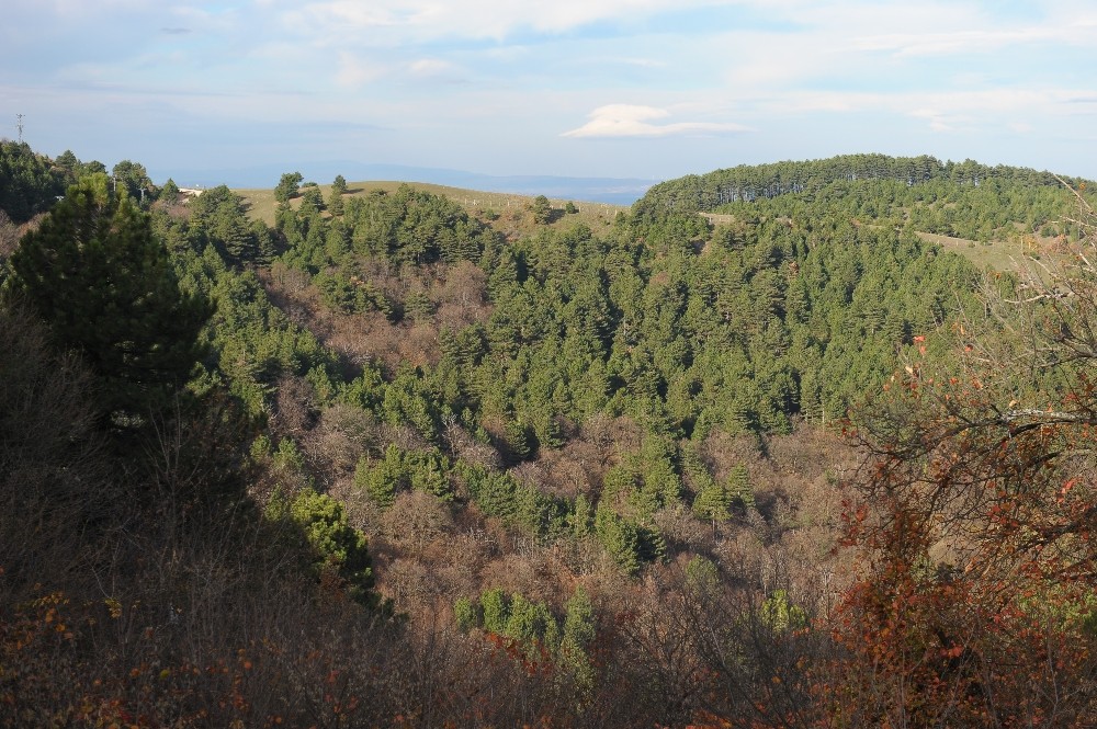 (Özel Haber) Uludağda Yılbaşı Öncesi Fidan Nöbeti