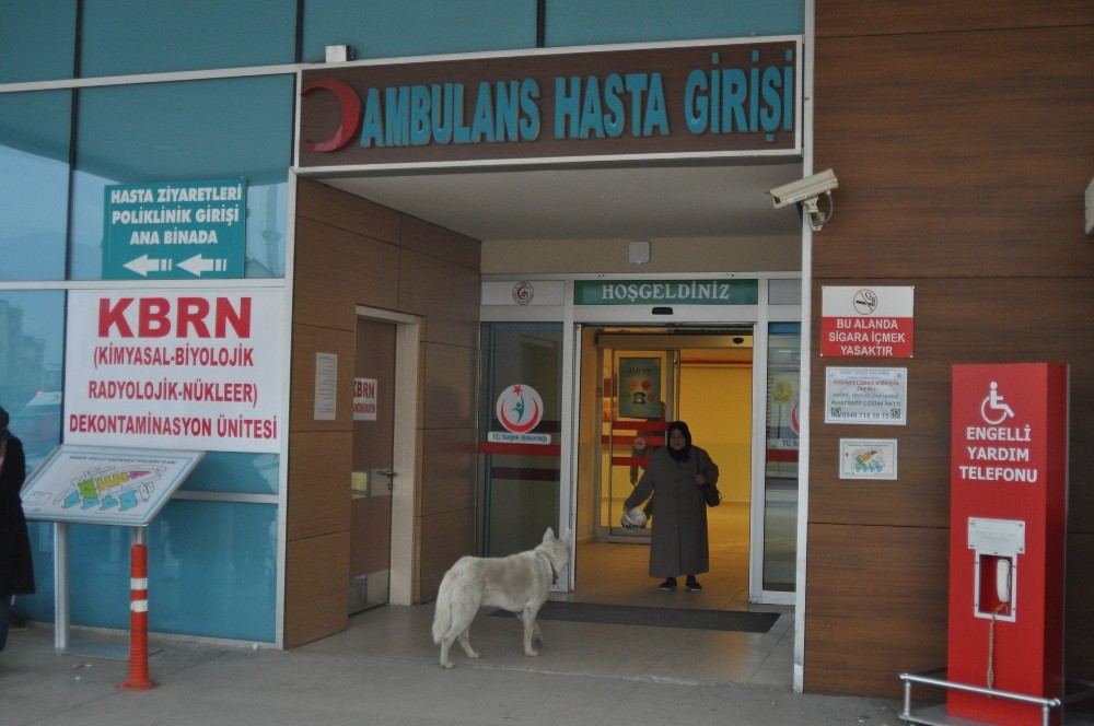 Sadık Köpek Acil Kapısında Sahibini Böyle Bekledi