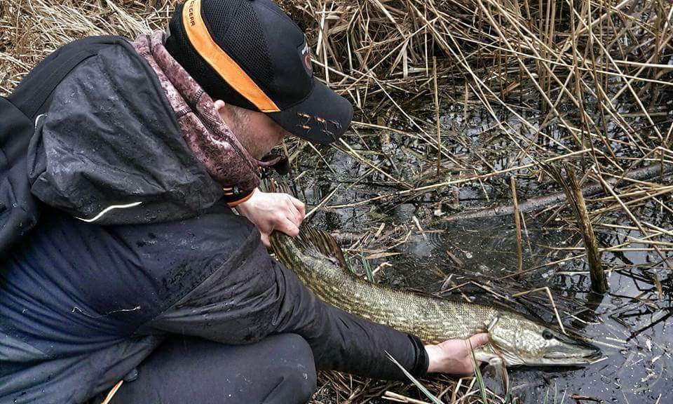 Turna Av Yasağı Başladı