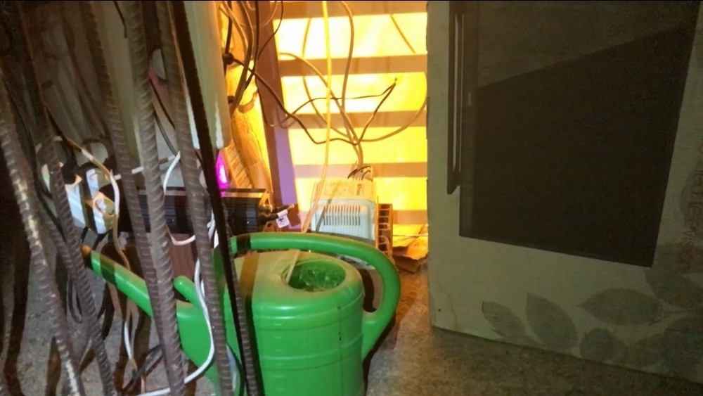 Uyuşturucu Yetiştirmek İçin Evine Sera Kurdu