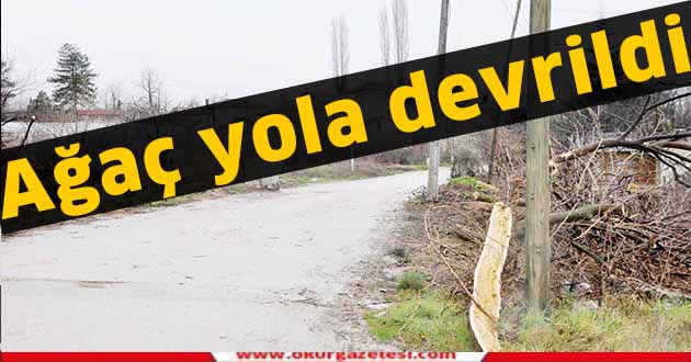 Ağaç yola devrildi