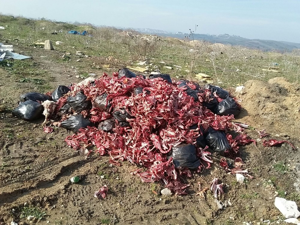 Bursada Çevre Katliamı