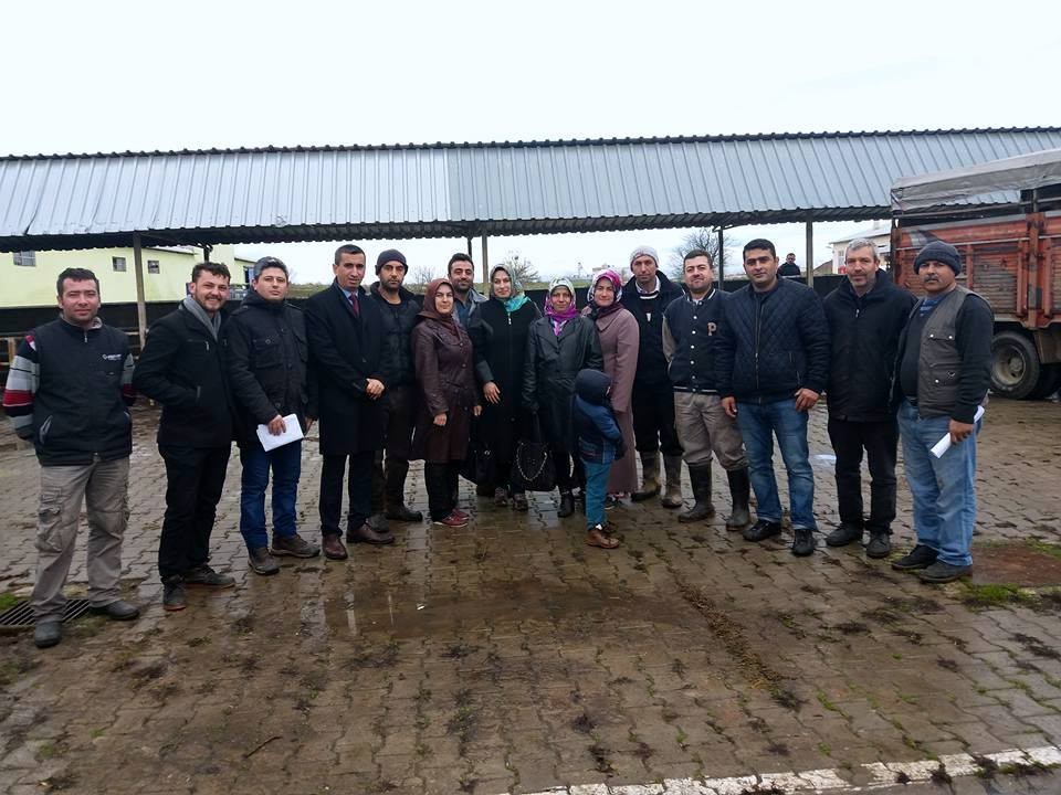 Genç Çiftçilere Hibe Hayvan Desteği