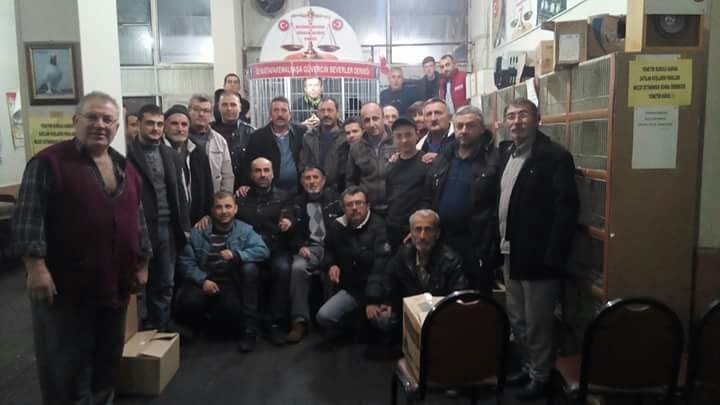 Güvercin Mezadına Büyük İlgi