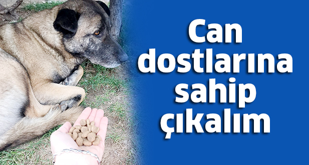 Can dostlarına sahip çıkalım
