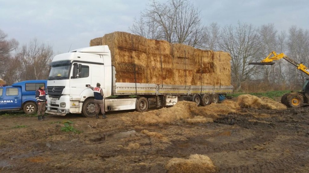 Jandarma Gece Vakti Suçüstü Yakaladı