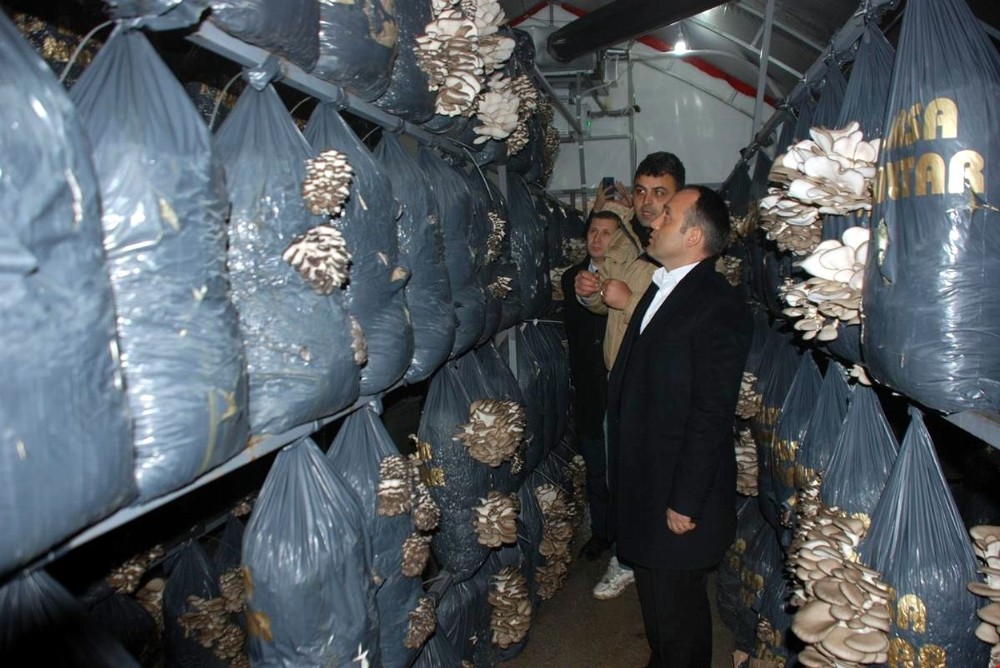 Mudanyalı Genç Çiftçilere Destek