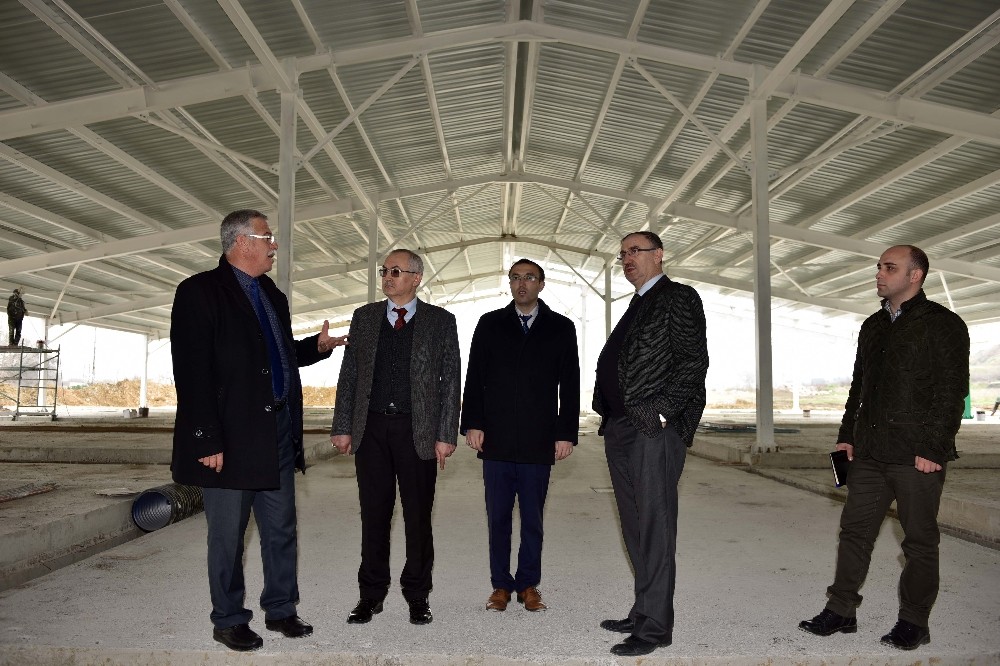 Mustafakemalpaşa Yeni Hayvan Pazarına Kavuşuyor