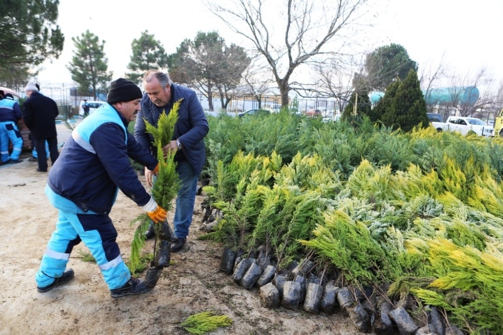 Nilüferin Geleceği İçin Binlerce Fidan Dikecekler