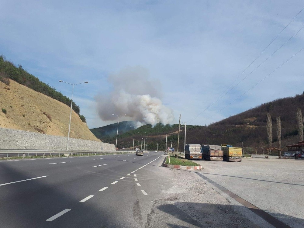 Orman Yangınları Aralıkta Da Bitmedi