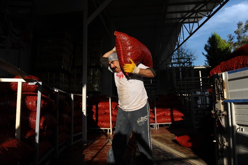 Şekerlemecilerin Kestane Alımı Yarı Yarıya Düştü