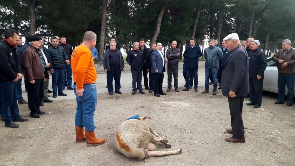 Taşıyıcılarda Yeni Dönem