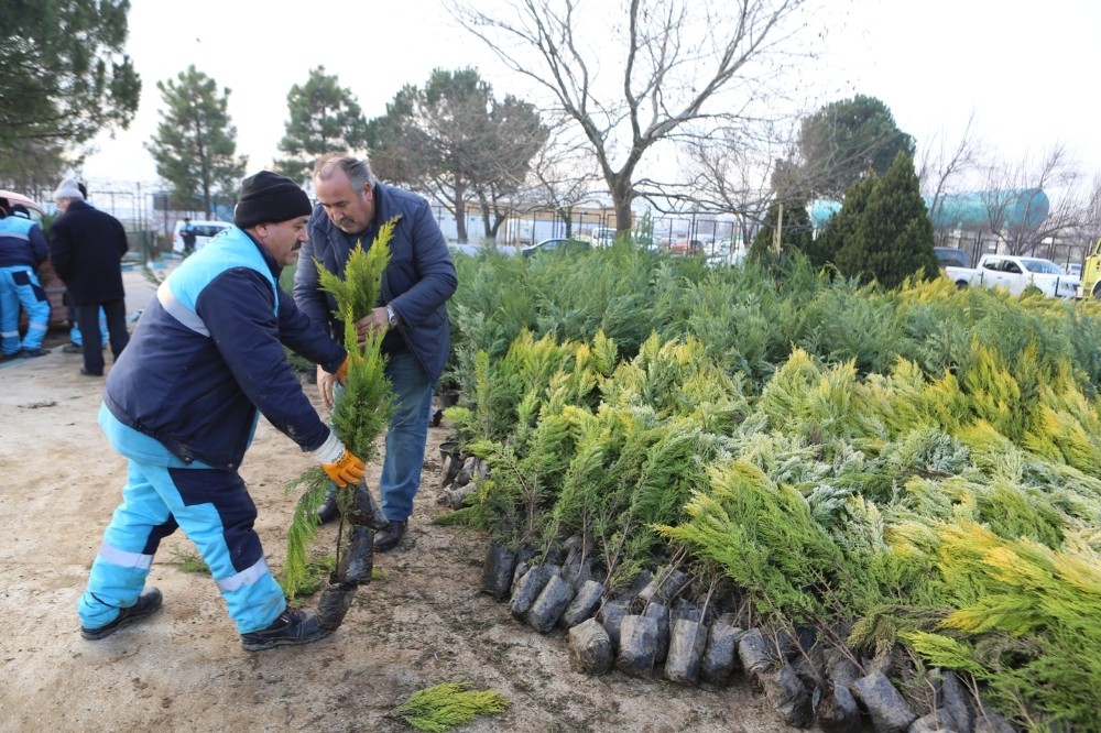 Ücretsiz Fidana Vatandaştan Büyük İlgi
