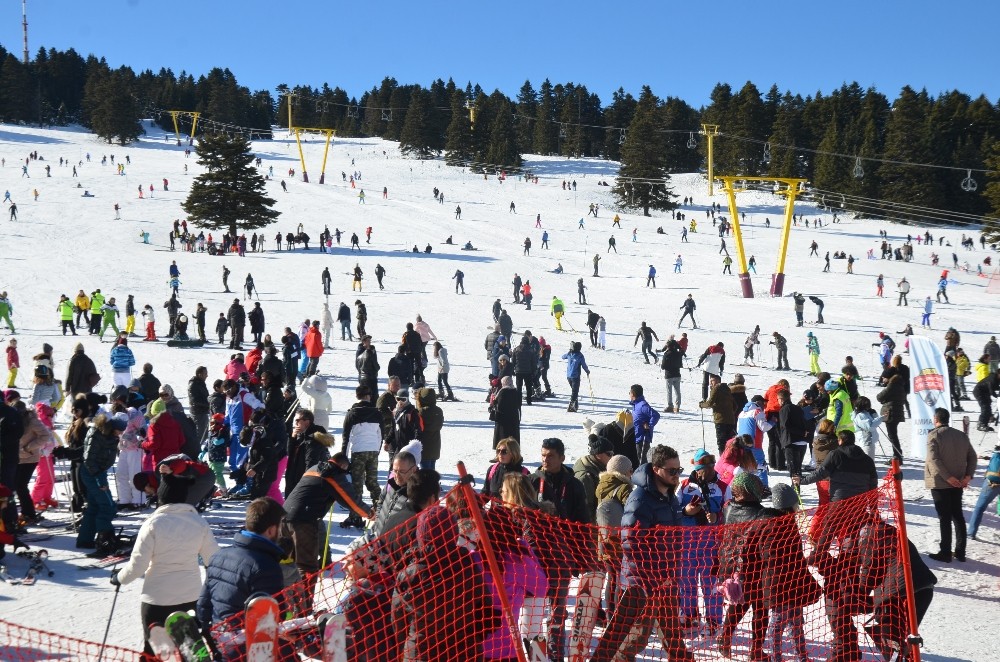 Uludağda Sömestr Canlılığı