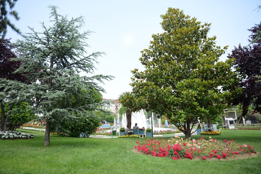 Yıldırımın Çehresine Yeşil Dokunuşlar