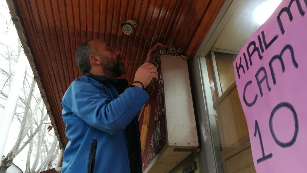 Yuvasından Firar Eden Yavru Kumruya Esnaf Müdahale Etti