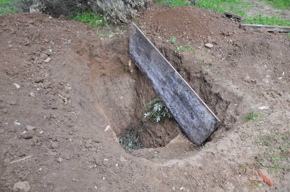 Zeytin Tarlasında Define Aradılar