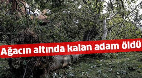 Ağacın altında kalan adam öldü