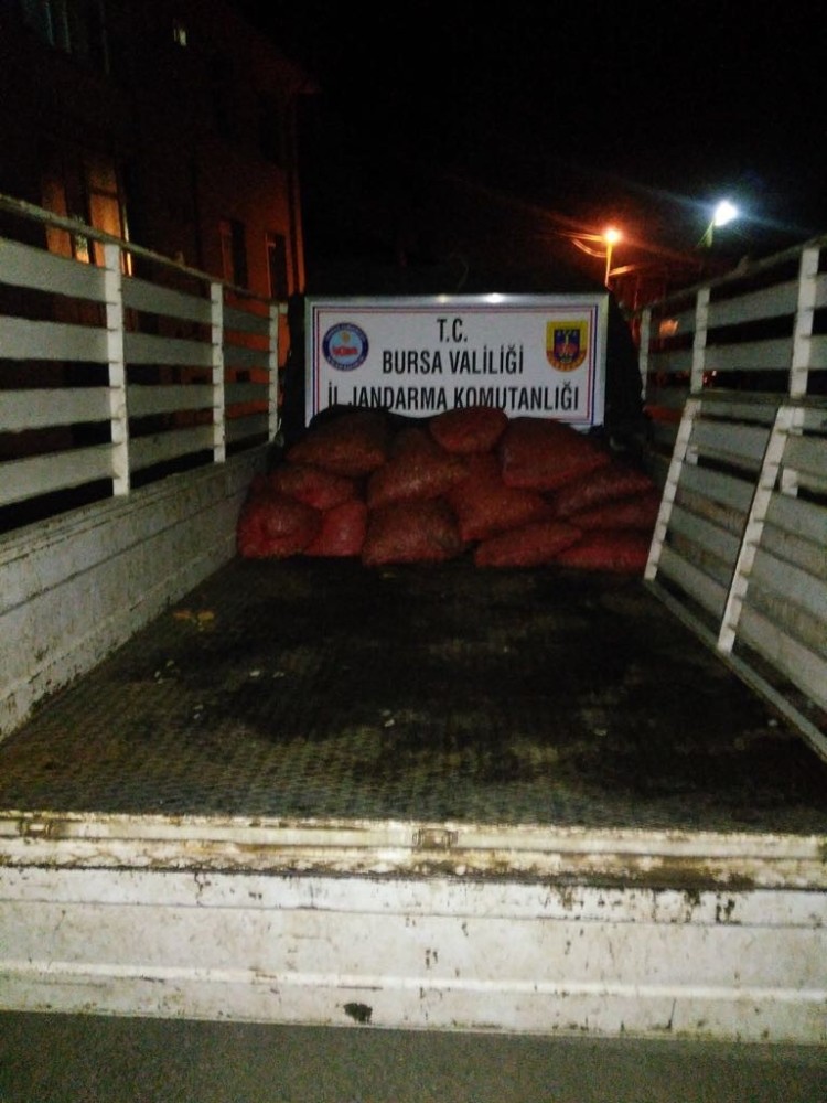 300 Kilo Midye Ele Geçirildi