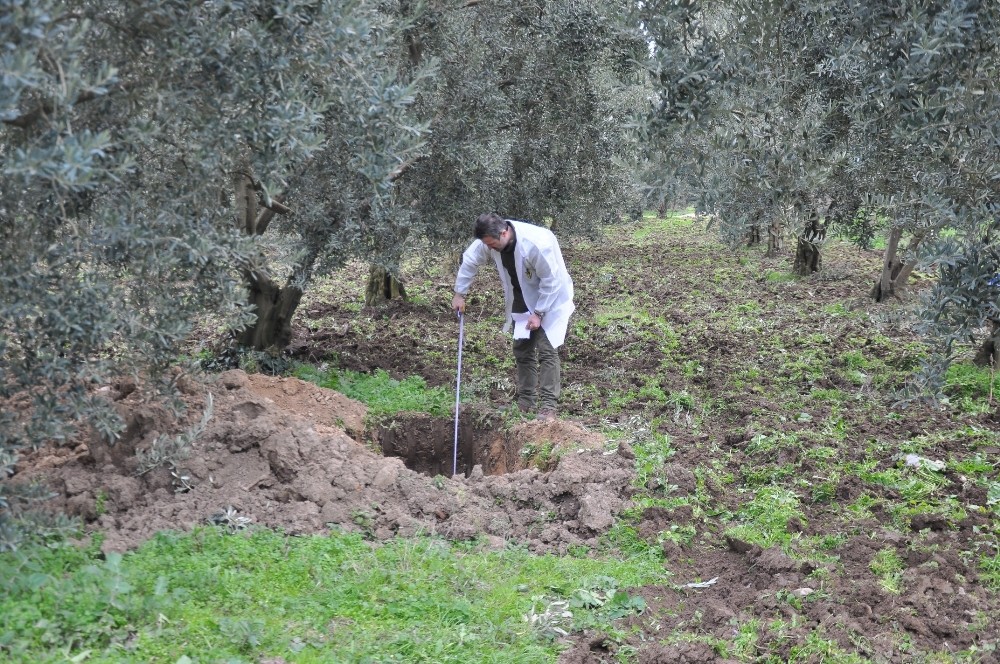 Bu Kez Kepçe İle Kazdılar