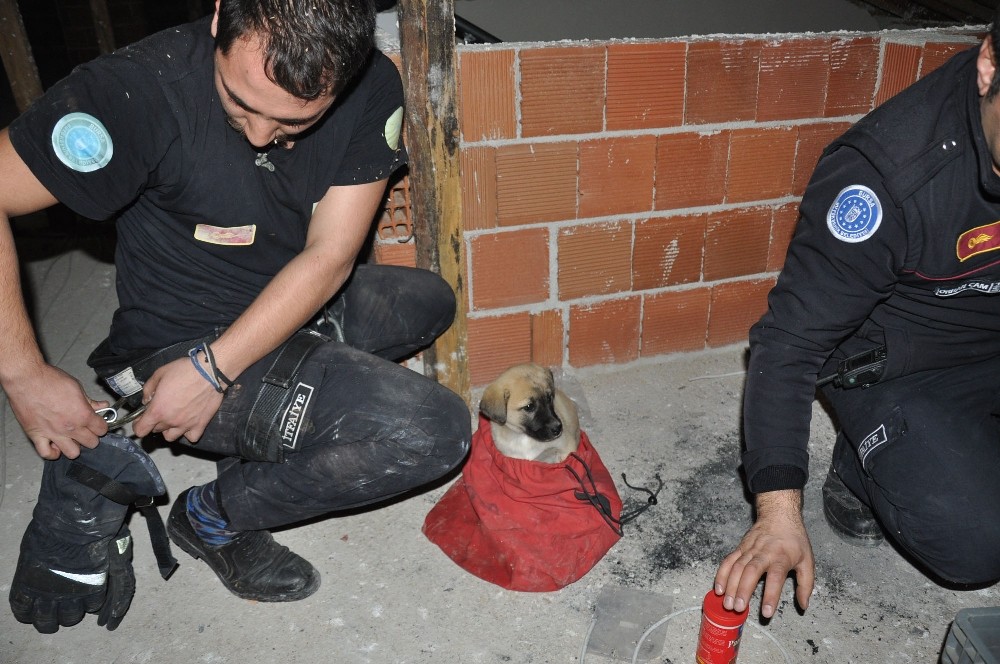 Havalandırma Boşluğuna Düşen Yavru Köpeği İtfaiye Kurtardı