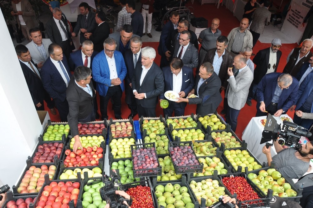 İnegöl Tarımı Mobilya İle Yarışıyor