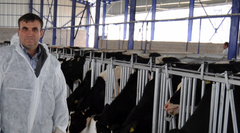 Küpeleme İşlemlerini Süt Birlikleri Yapacak