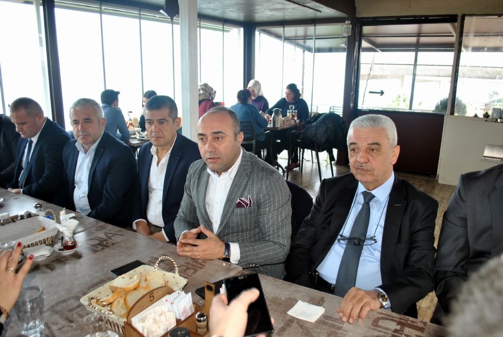 Marmarabirlik Mudanyalı Üreticilerden 8 Bin 200 Ton Zeytin Aldı