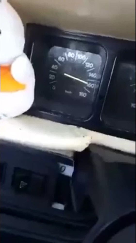 Otobanda Mobilet-Şahin Kapışması