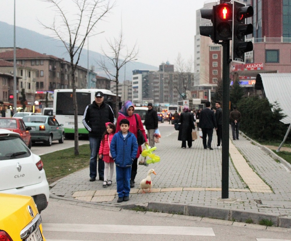 (Özel Haber) Metropol Ördek