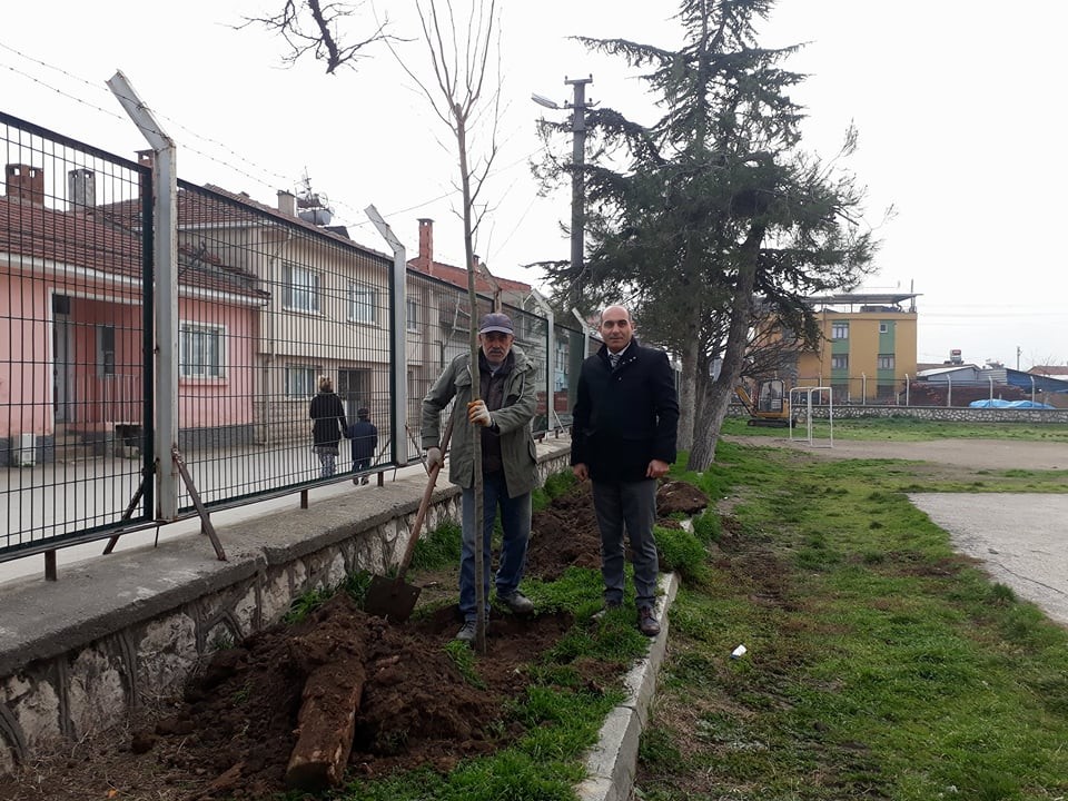 Veliler Okul Bahçesini Ağaçlandırdı
