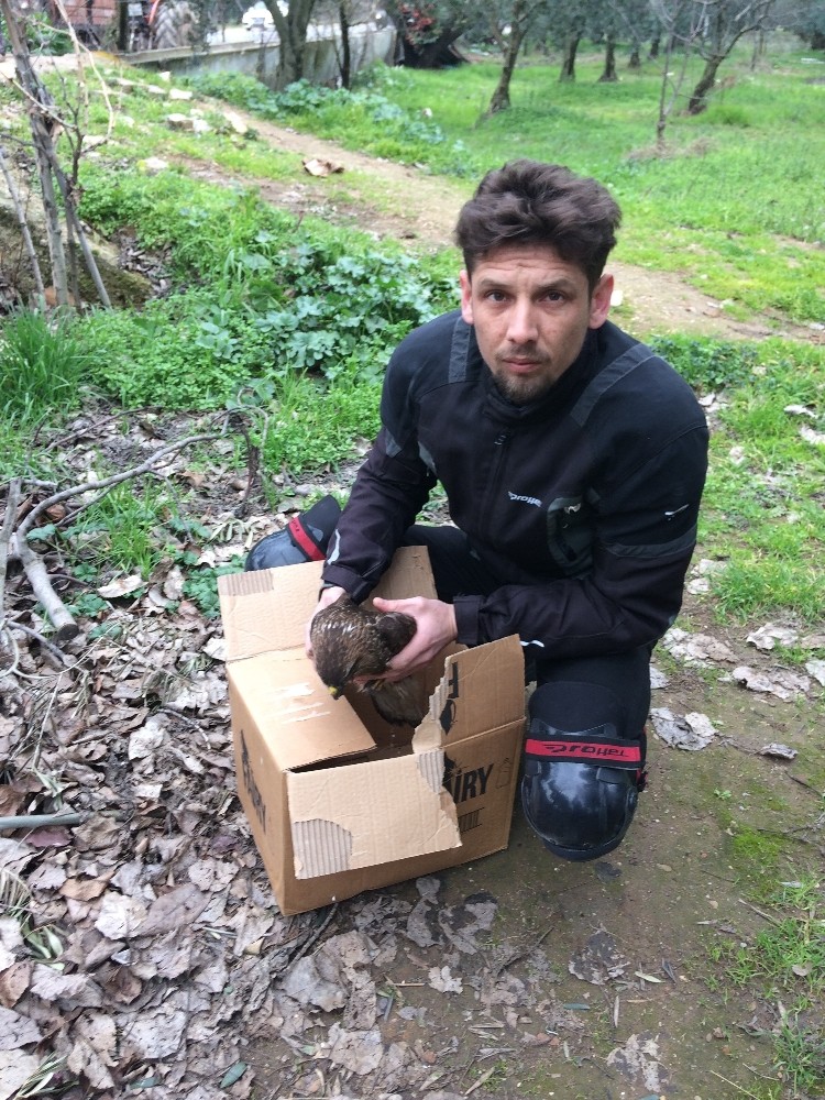 Yaralı Atmacaya Vatandaş Şefkati