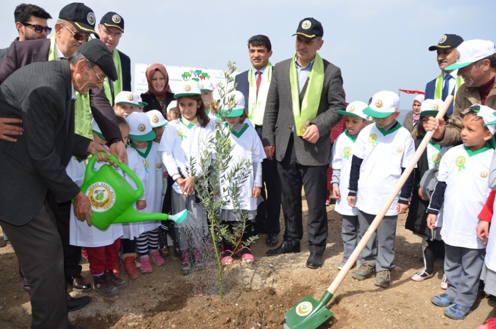 Afrin Şehitleri İçin Hatıra Ormanı