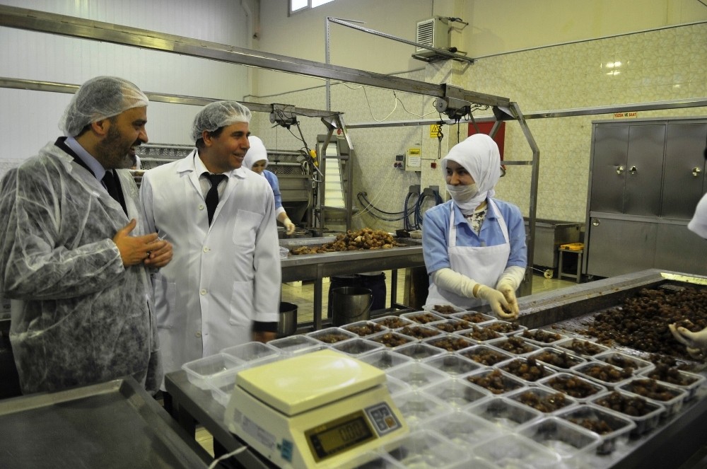 Aktaştan Kardelene Tam Not