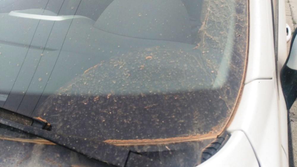 Bursaya Çamur Yağdı