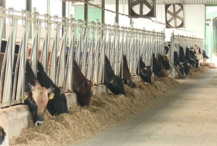 Çiftlik Bank Ceosu Mehmet Aydının 5 Yıl Sonra Şirketi Satacağını Söylediği Ortaya Çıktı