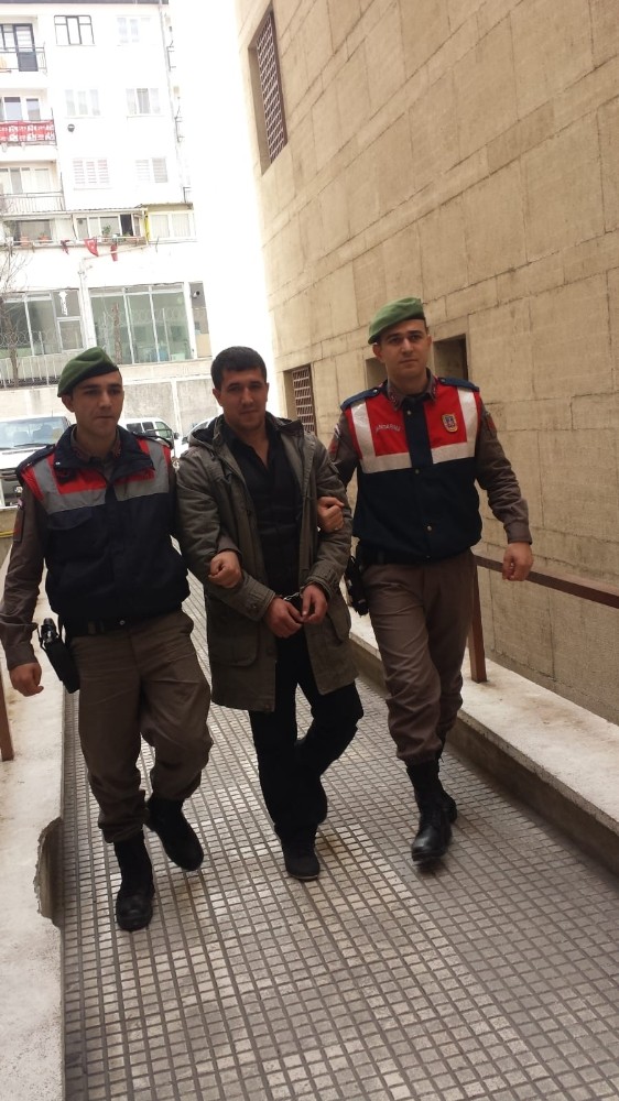 Devriye Gezen Jandarma Pkk Üyesini Yakaladı