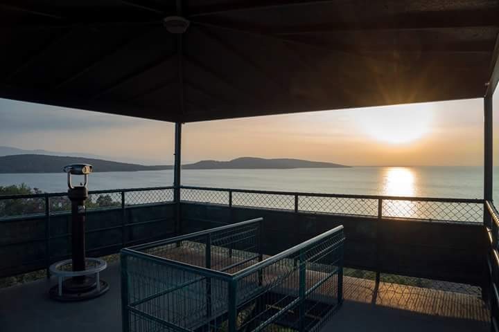 Gözlem Kuleleri  Kaçak Avcıların Da Kabusu Oluyor