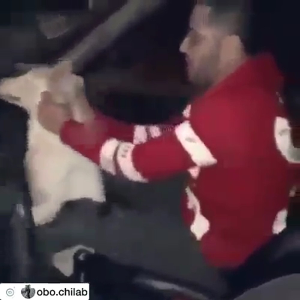 Köpeği Vahşice Yumruklayanlar Tutuklandı