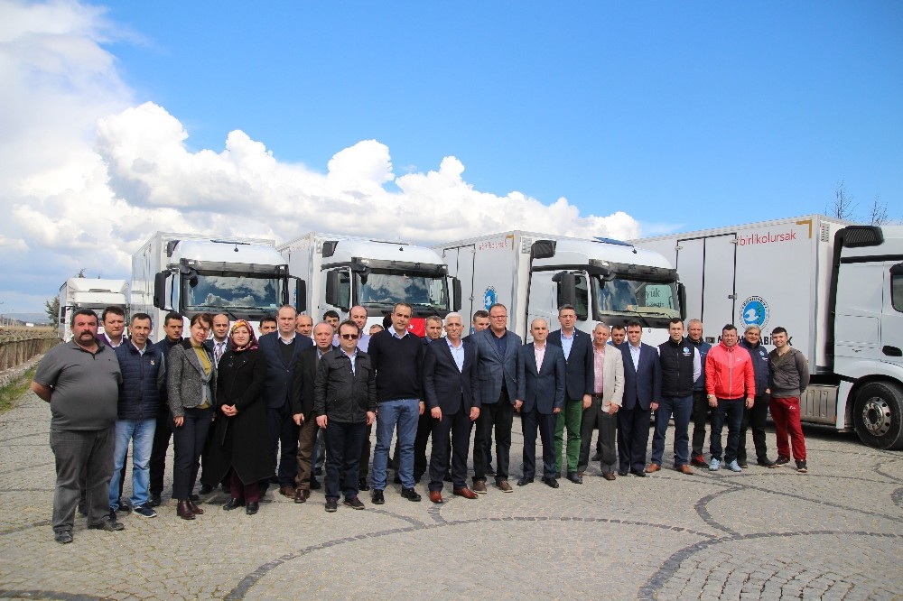 Mehmetçiğin Zeytini Marmarabirlikten