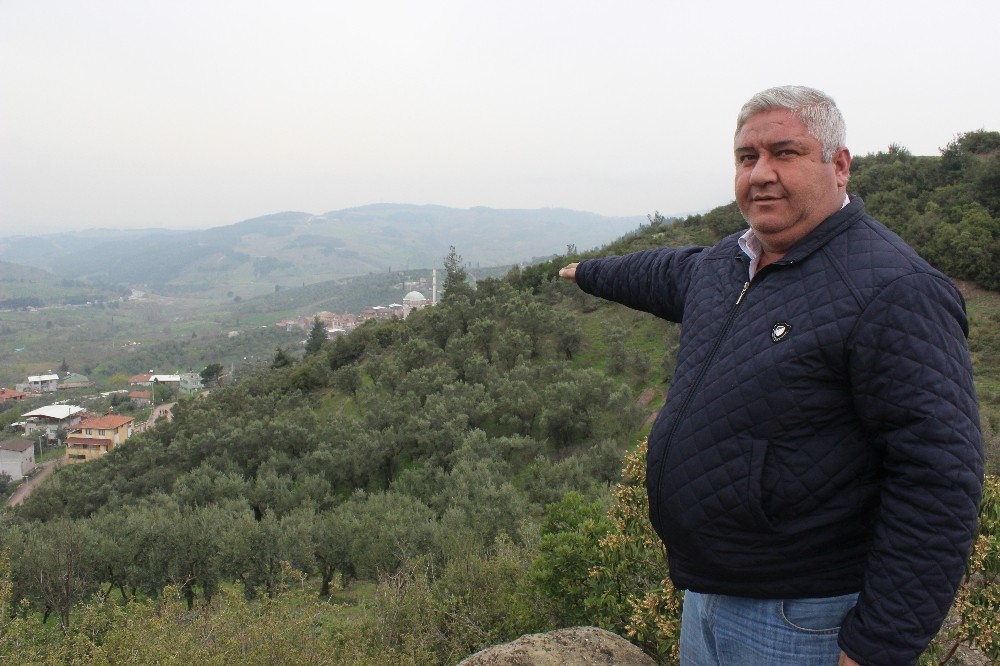 (Özel) Arazilerini Ormana Kaptıran Köylülerden Tapulu Eylem