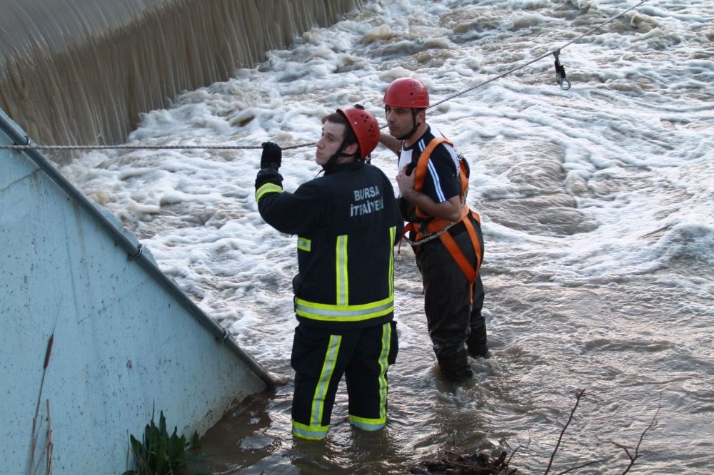 Sal Sefasında Can Pazarı