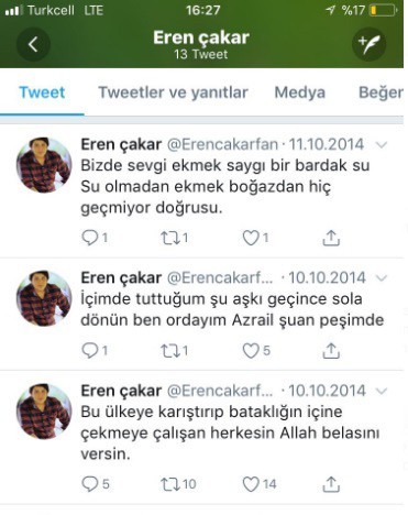 Tosunun Kedicik Merakı