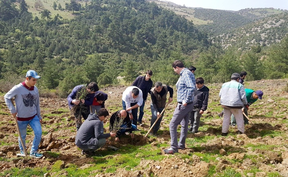 Yaban Hayatına Meyve Fidanları İle Destek